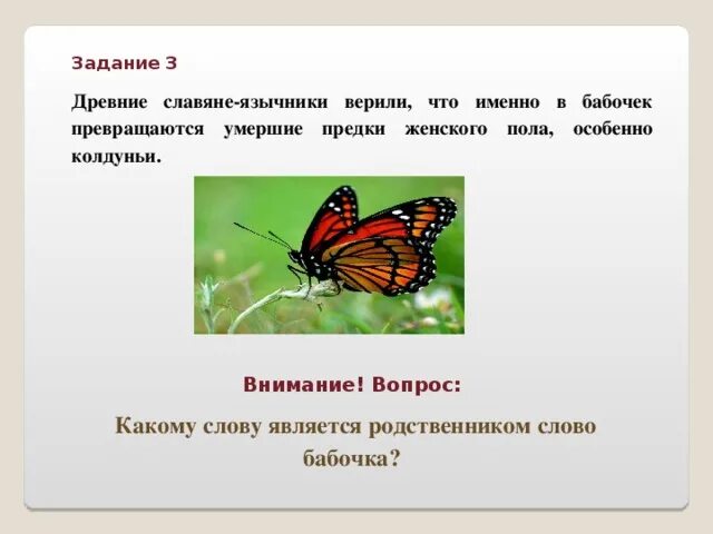 Бабочка составить слова. Происхождение слова бабочка. Родственное слово бабочки. Вопрос к слову бабочка. Что обозначает слово бабочка.