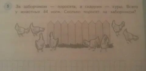 20 голов 52 ноги кур поросят
