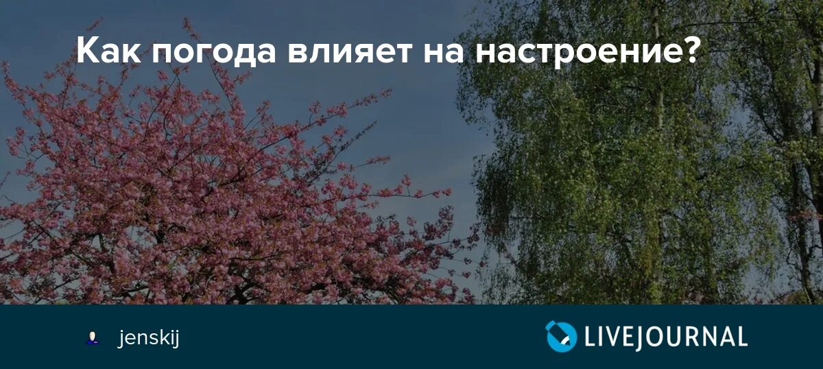 Как настроение влияет на жизнь человека аргумент. Как погода влияет на настроение. Погода влияет на настроение человека. Настроение как погода. Настроение с погодными условиями.