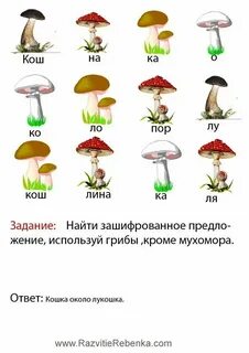 Как будет по английски гриб