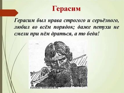 Муму суть