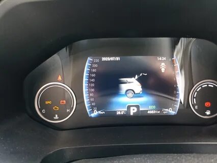 Каптур проверить систему снижения токсичности