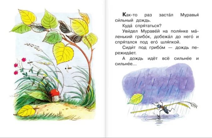 Разговор дождика и цветов составить текст сказку