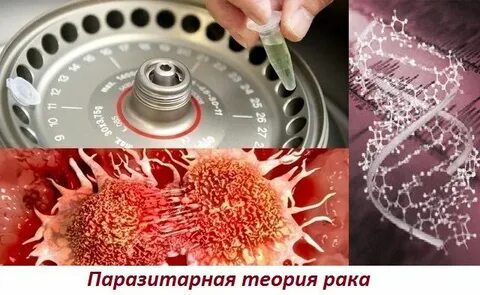 Злокачественный форум