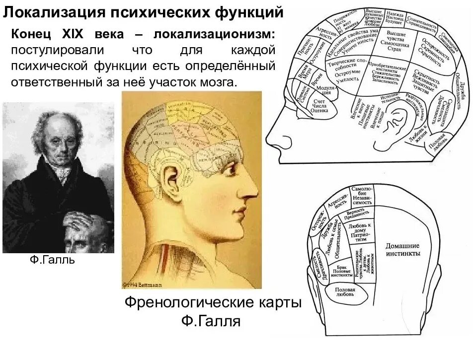 Френологические карты ф.Галля. Френология Франца Галля. Френология Френсис Галь.