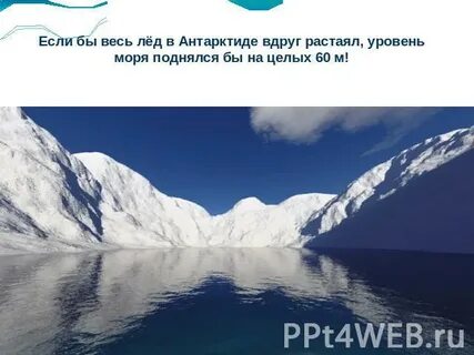 На сколько растаяла антарктида