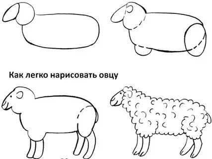 Как рисовать барашка