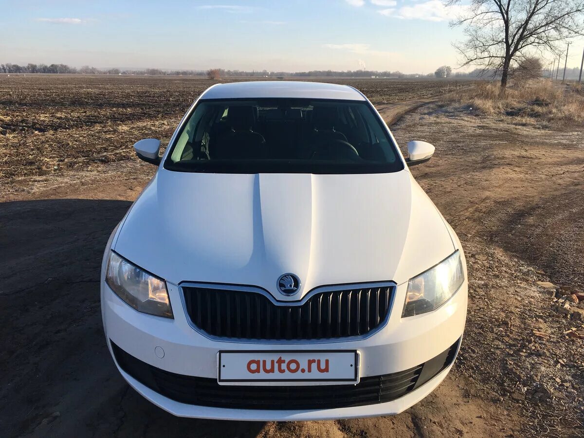 8. Шкода октавия скаут 2015 года. Skoda octavia a7 1. Skoda octavia a7 белая. Skoda octavia a7.