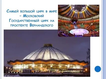 Цирки страны