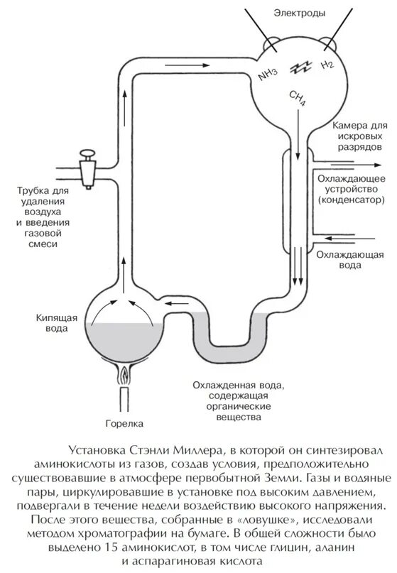 Установка миллера. Гипотеза Опарина опыт. Опыт Опарина и Холдейна. Теория возникновения жизни Опарина Холдейна. Установка Опарина Холдейна.