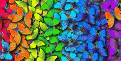 Colorful image