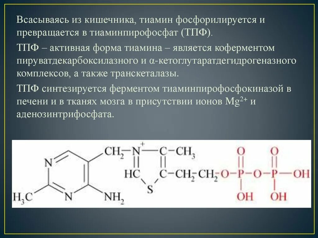 Фолиевая кислота тиамин. Витамин б1 кофермент. Активная форма витамина б1. Тиамин кофермент. Тиаминпирофосфат (ТПФ).