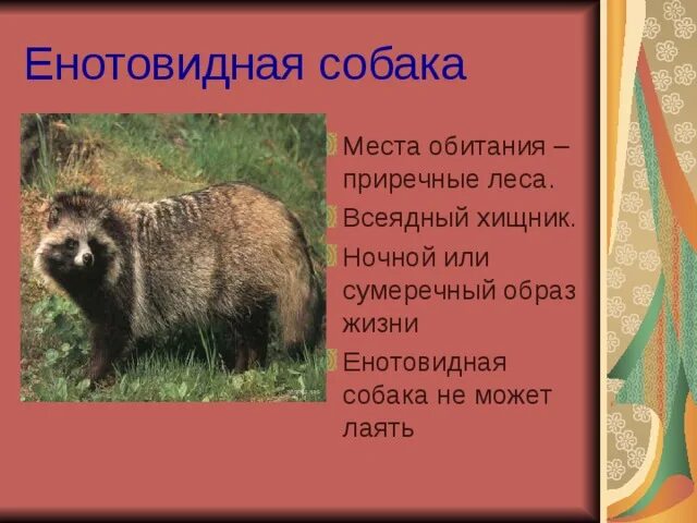 Животные самарской области в красной книге россии