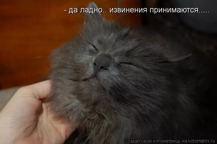 Принять прощение. Прощение в христианстве. Твои извинения. Умные мысли о прощении. Балин мем.