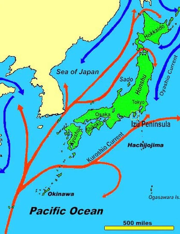 Теплое течение у восточных берегов. Куросио течение на карте. Пролив Куросио. Карта течений японского моря. Течение Куросио.