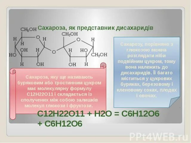 Экзамен сахарозы геншин импакт. Сахароза Геншин. Сахароза сахароза Геншин. Сахароза Геншин арт. Сахароза Геншин Импакт 1.