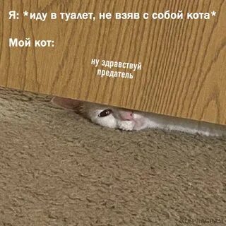 Не взявши