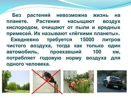 Без чего невозможна жизнь на земле