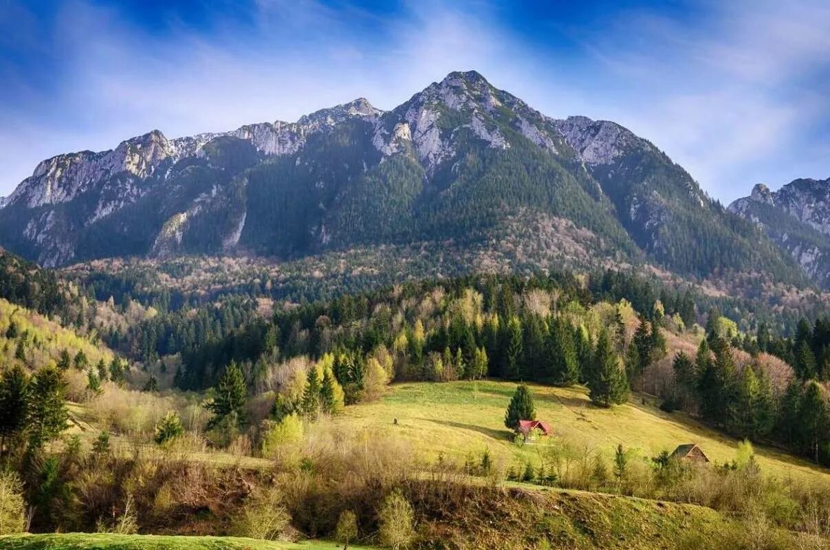 южные карпаты [трансильванские альпы]. горы апусени в румынии. южные карпаты горы румынии. горы апусени в румынии. горный хребет апусени, румыния.