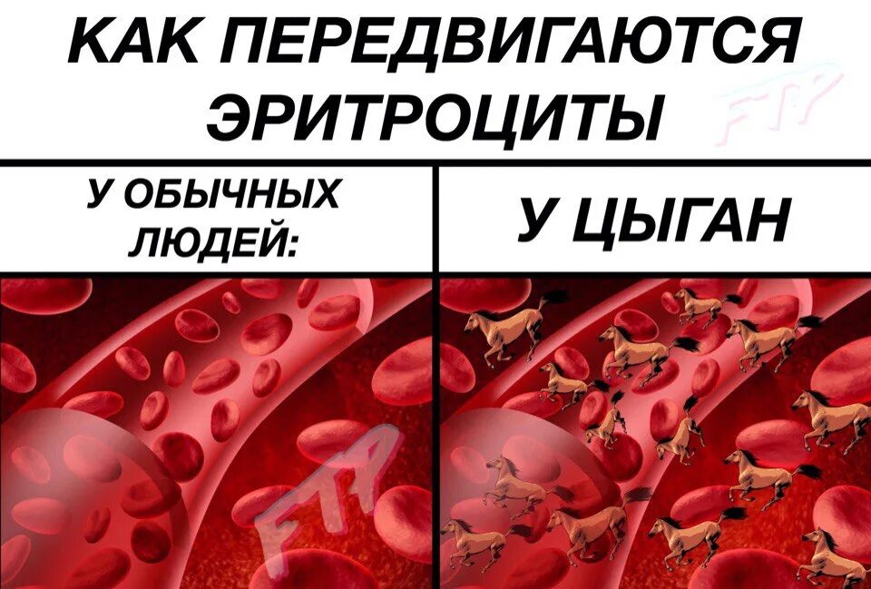 Эритроциты способны. Передвижение эритроцита. эритроциты двигаются. эритроциты не способны двигаться. эритроциты активно передвигаются?.