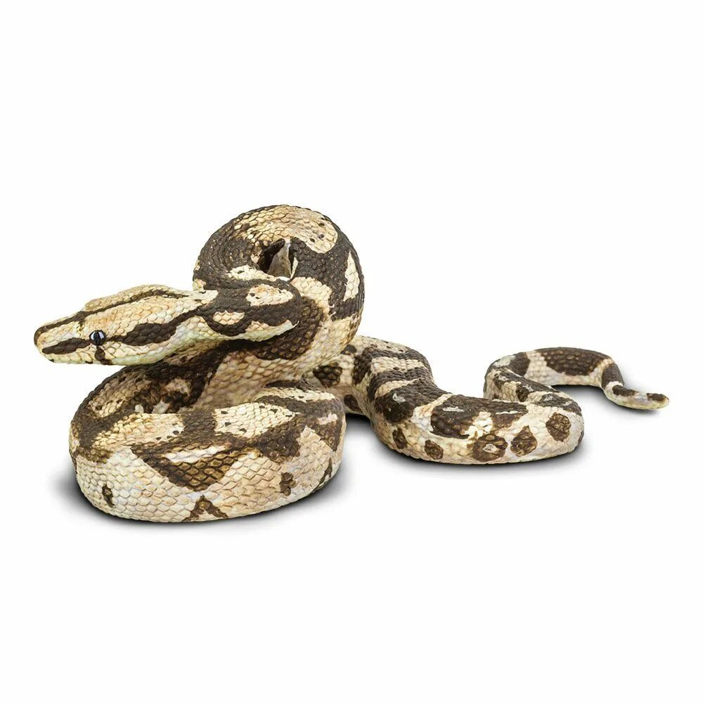 Удав обыкновенный boa Constrictor. Фигурка змеи Safari Ltd обыкновенный удав. Фигурка питон сафари.