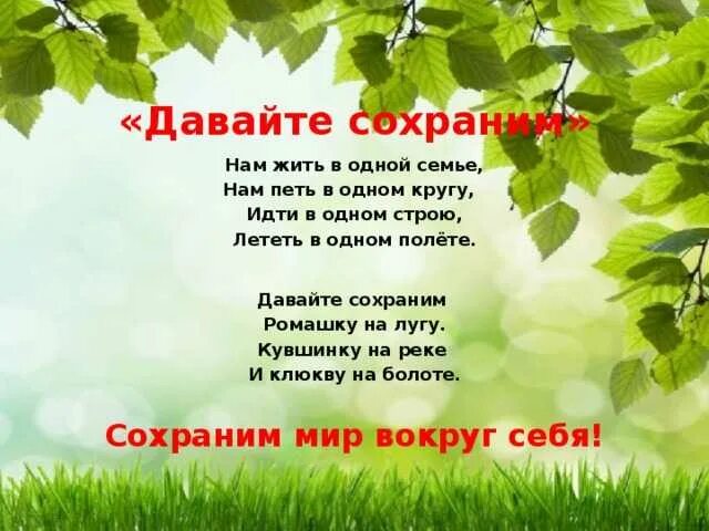 Стихи 20 века о защите природы. Стихотворение об охране природы. Стихи об охране природы для детей. Стихи о защите природы для детей. Стишки про защиту природы.