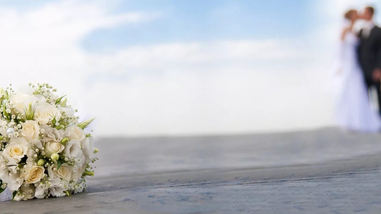 красивые свадебные фотосессии. с днем свадьбы!. открытка с днем свадьбы. видеоролик молодоженам. видеоролик молодоженам.