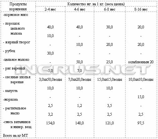 Сколько раз кормить овчарку щенка. Рацион 2 месячного щенка Йорка. Рацион питания щенка чихуа в 5 месяцев. Рацион питания для щенка той терьера 3 месяца. Таблица кормления щенков Йорка.