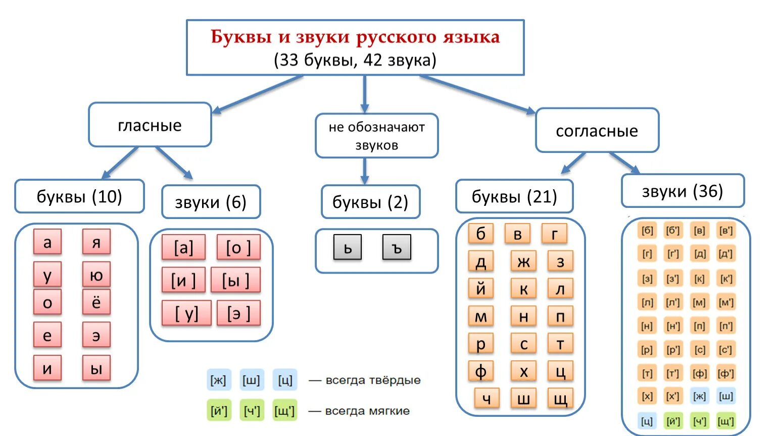 Тихонько количество букв и звуков