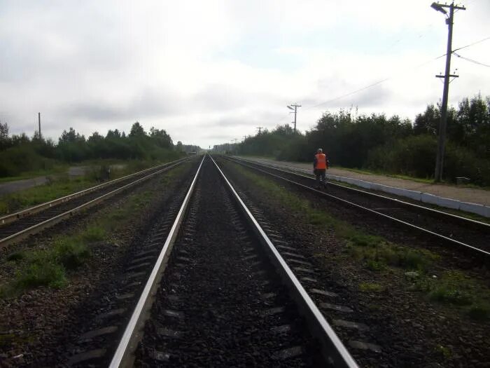 Погода в кневицах новгородская область демянский. Станция Кневицы. Станция Кневицы Новгородской области. Кневицы Демянский район Новгородская область. Леспромхоз в Кневицы.