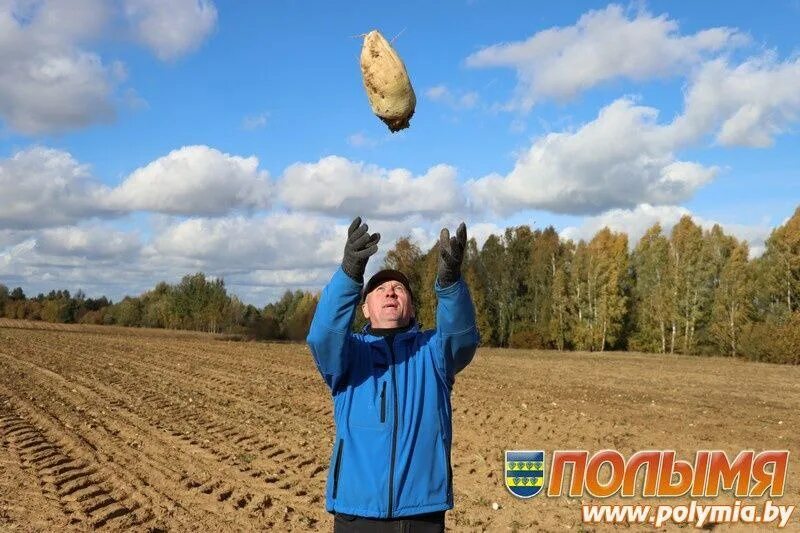 Спк маяк. Спк маяк