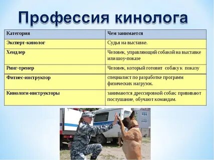 Кинолог плюсы и минусы