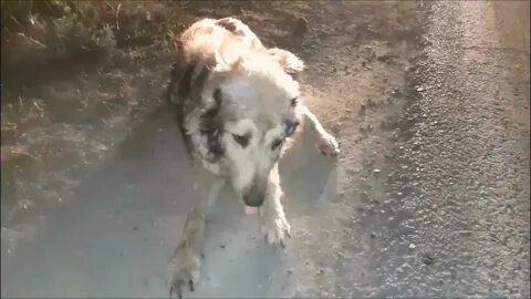 Спасенных будет больше