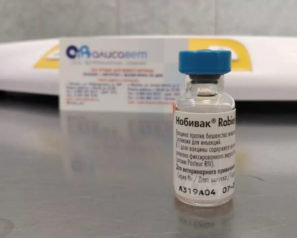 Вакцина rabies. Nobivac Rabies (Нобивак рабиес). Антирабическая вакцина от бешенства для людей. Вакцина от чумы плотоядных для собак. Бешенство вакцина для собак.