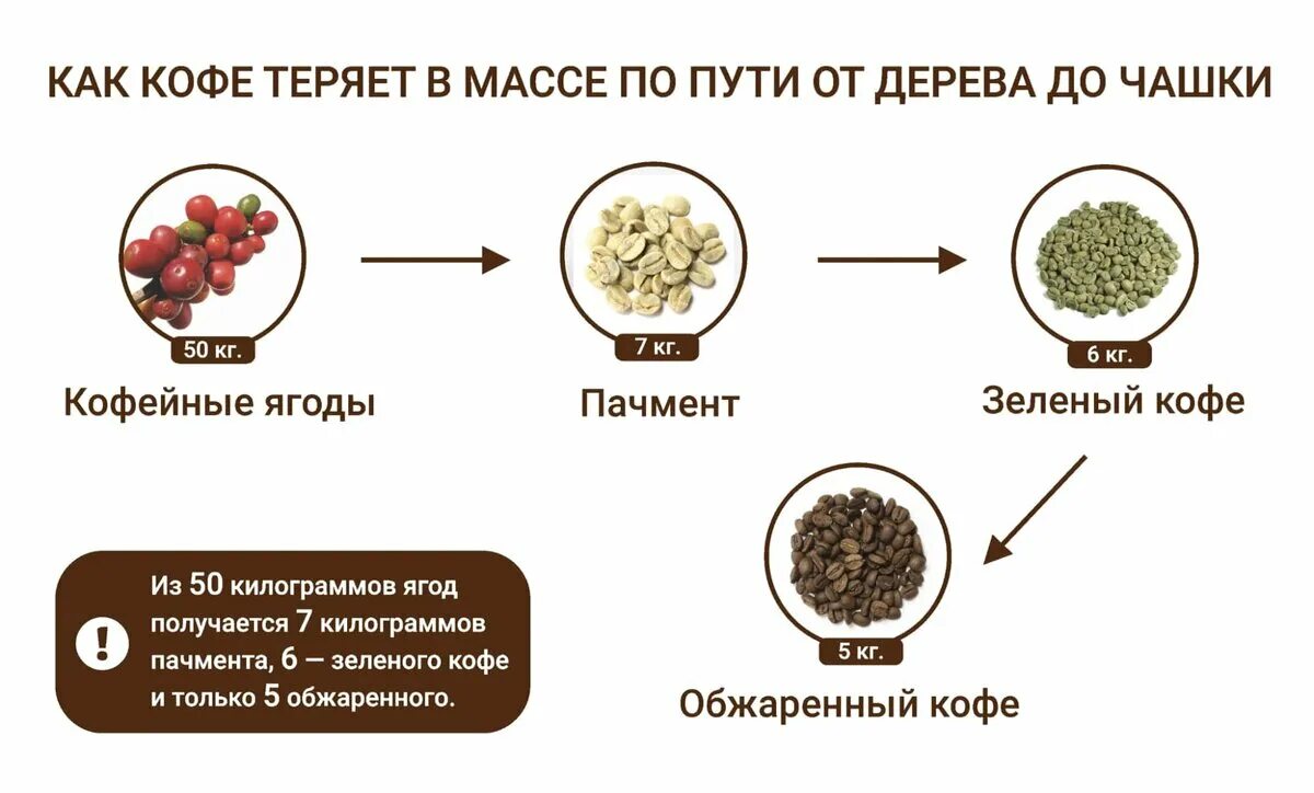 Сколько приносит кофе. Состав кофейной ягоды. Пачмент кофе что это. Масса кофе. Мякоть кофейной ягоды.