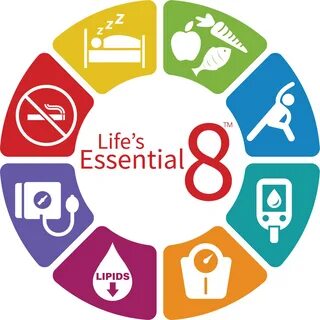 Life 8