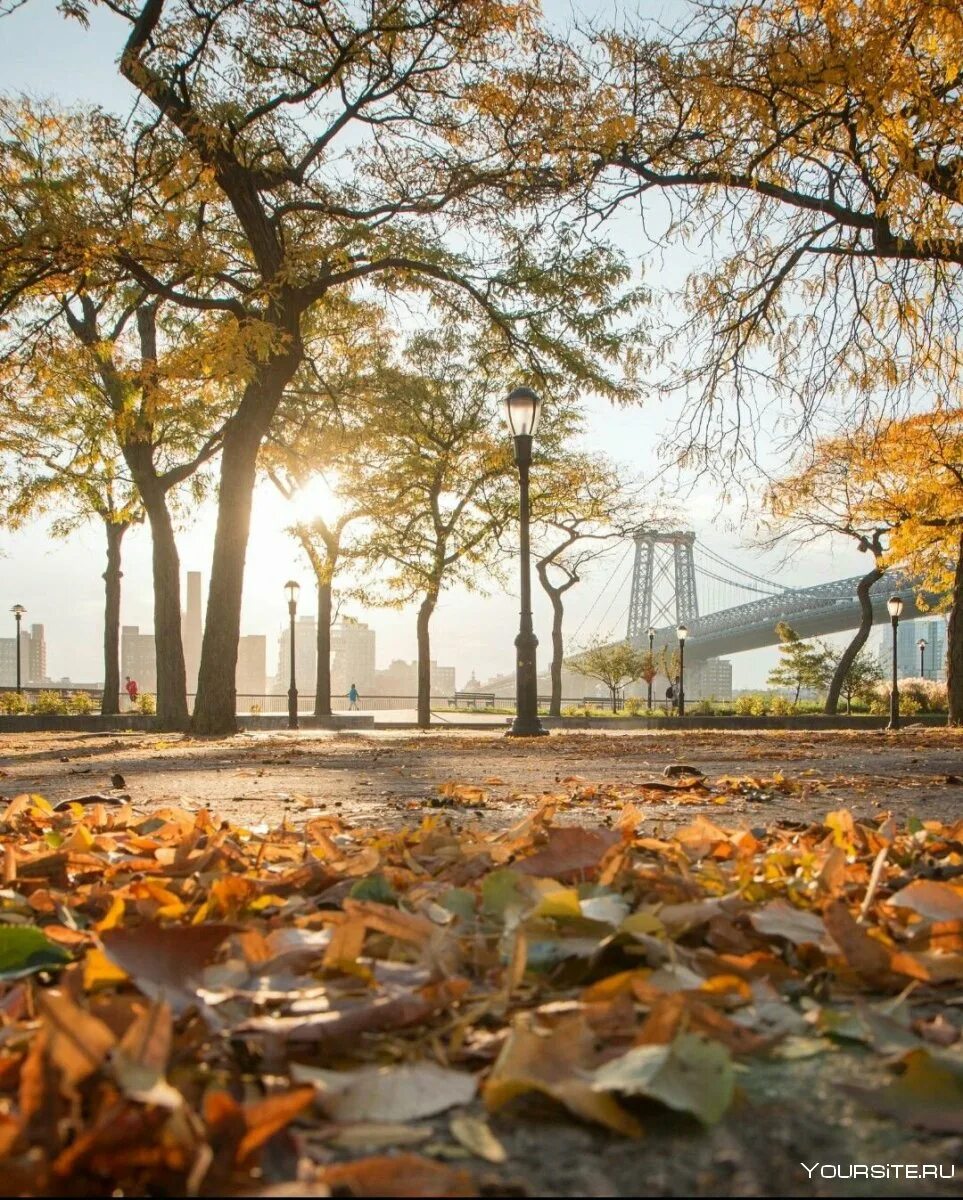 Осень без людей. Центральный парк Нью-Йорк. Осень в Нью-Йорке Центральный парк. Центральный парк Нью-Йорк осенью. Осень в городе Нью Йорк.