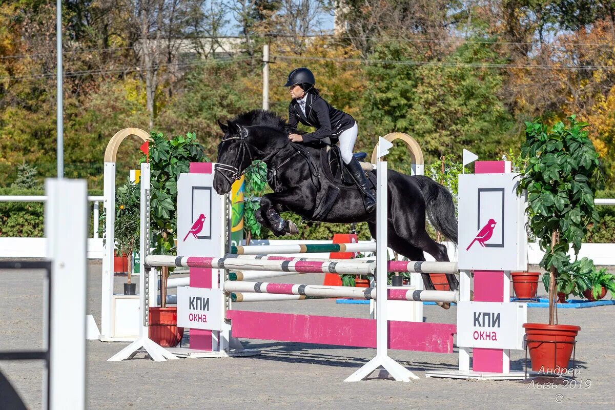 КСК Golden Horse, Таганрог. КСК Голден Хорс Таганрог конюшни. КСК Блэк Хорс. Golden Horse Таганрог гостиница. Голден хорс отзывы