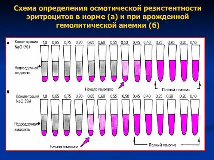 Норма резистентности