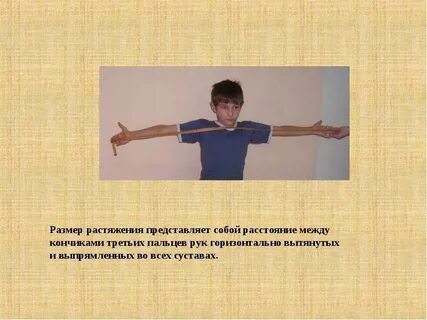Расстояние между вытянутыми руками