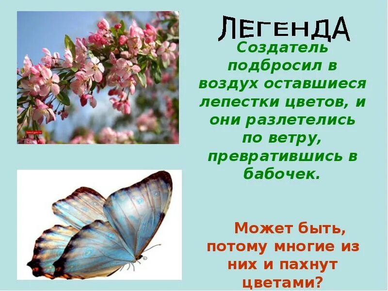 Для чего пахнут цветы. Почему пахнут цветы. Почему цветы пахнут для детей. Рассуждение для чего пахнут цветы. Презентация для 3 класса почему цветы пахнут.