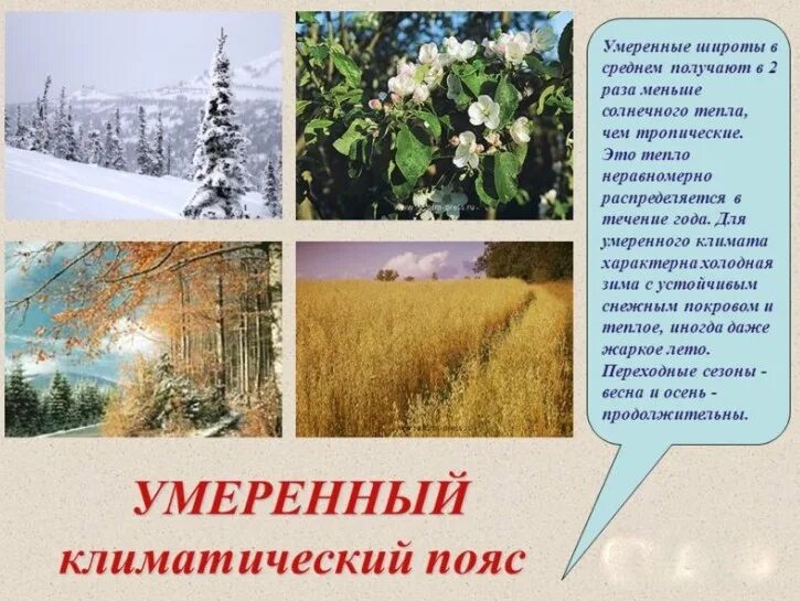 Краткое описание умеренного климата. Умеренный климат. климат умеренного пояса. умереныйклиматический пояс. суб умеренный климат.