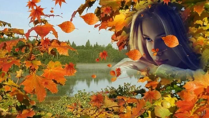 листопад и дождиком. осень снова к нам пришла. песня вот и осень пришла опустели леса. песня вот и осень пришла опустели леса. пушкин осень.