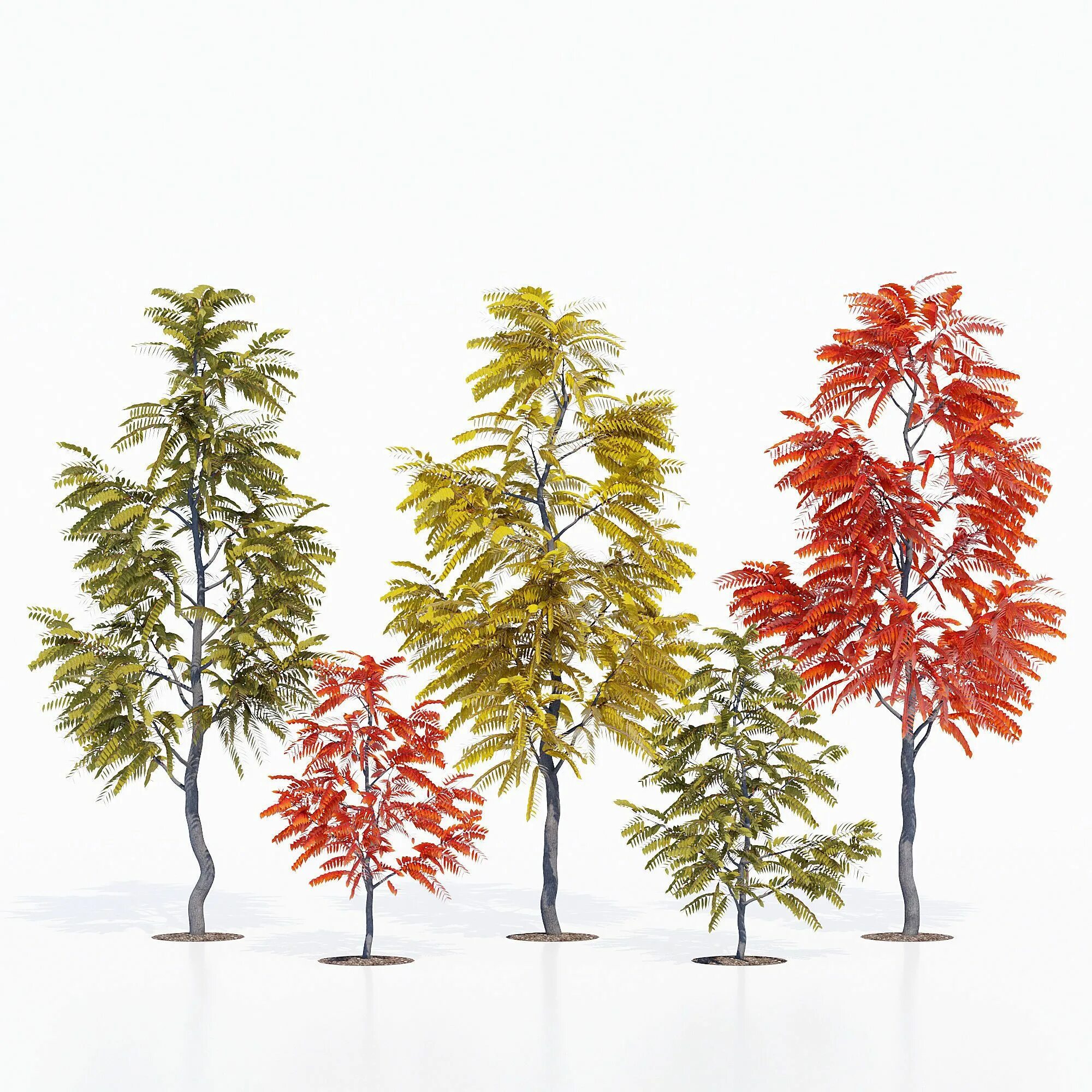 Tree 1.18