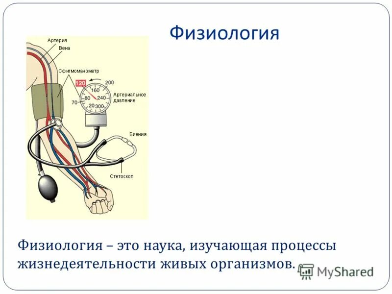 Физиология в биологии