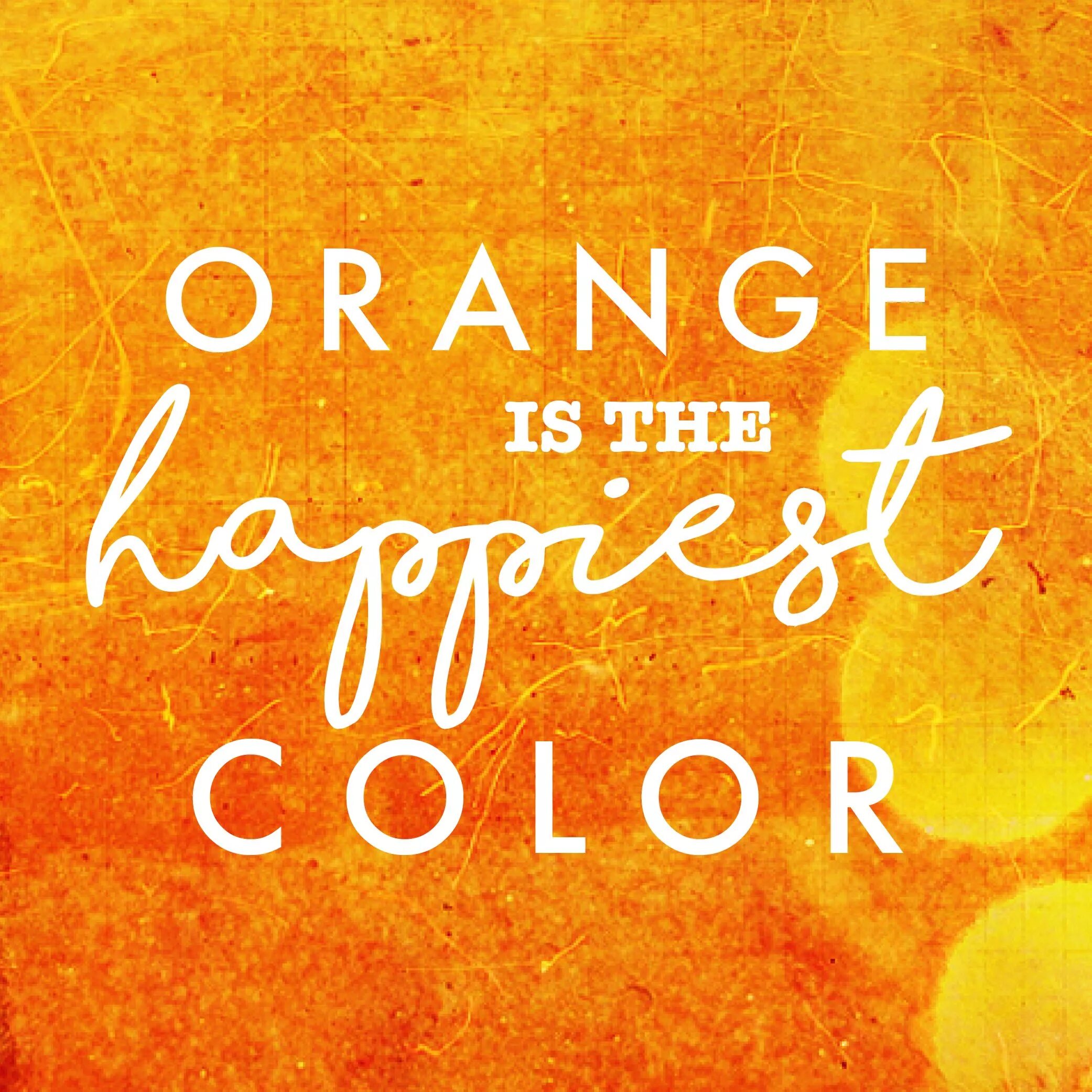 Get is orange. Happy life orange. my orange life. frank sinatra orange is the happiest. orange is the happiest colour.