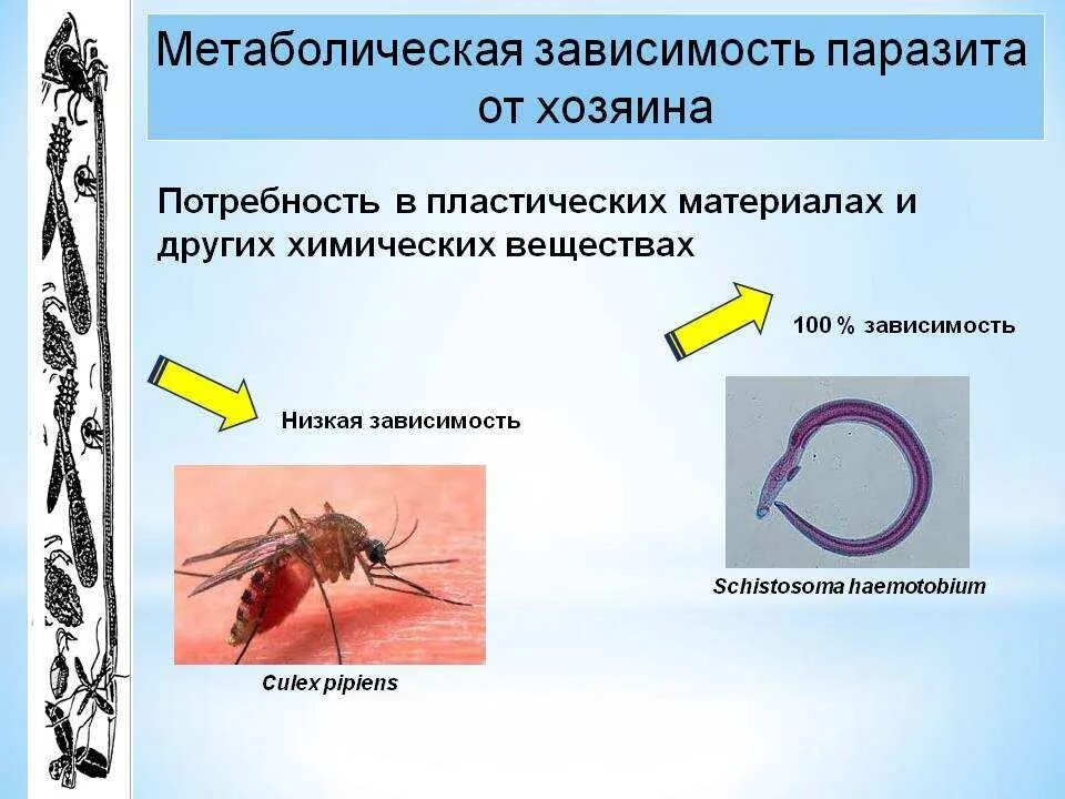 Типы хозяев