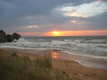 Вид трещетки на азовском море