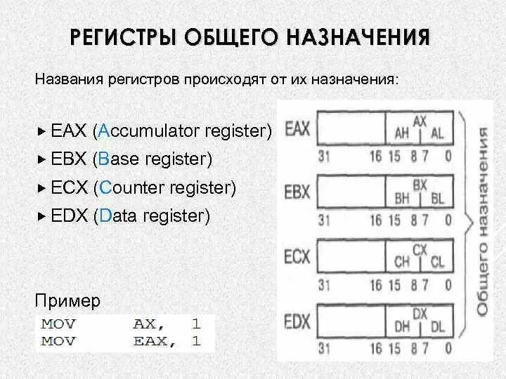 Регистр ссылок. Регистр AX В ассемблере. Регистр ecx в ассемблере. Регистры общего назначения ассемблер 8086. Что такое регистр в программировании.