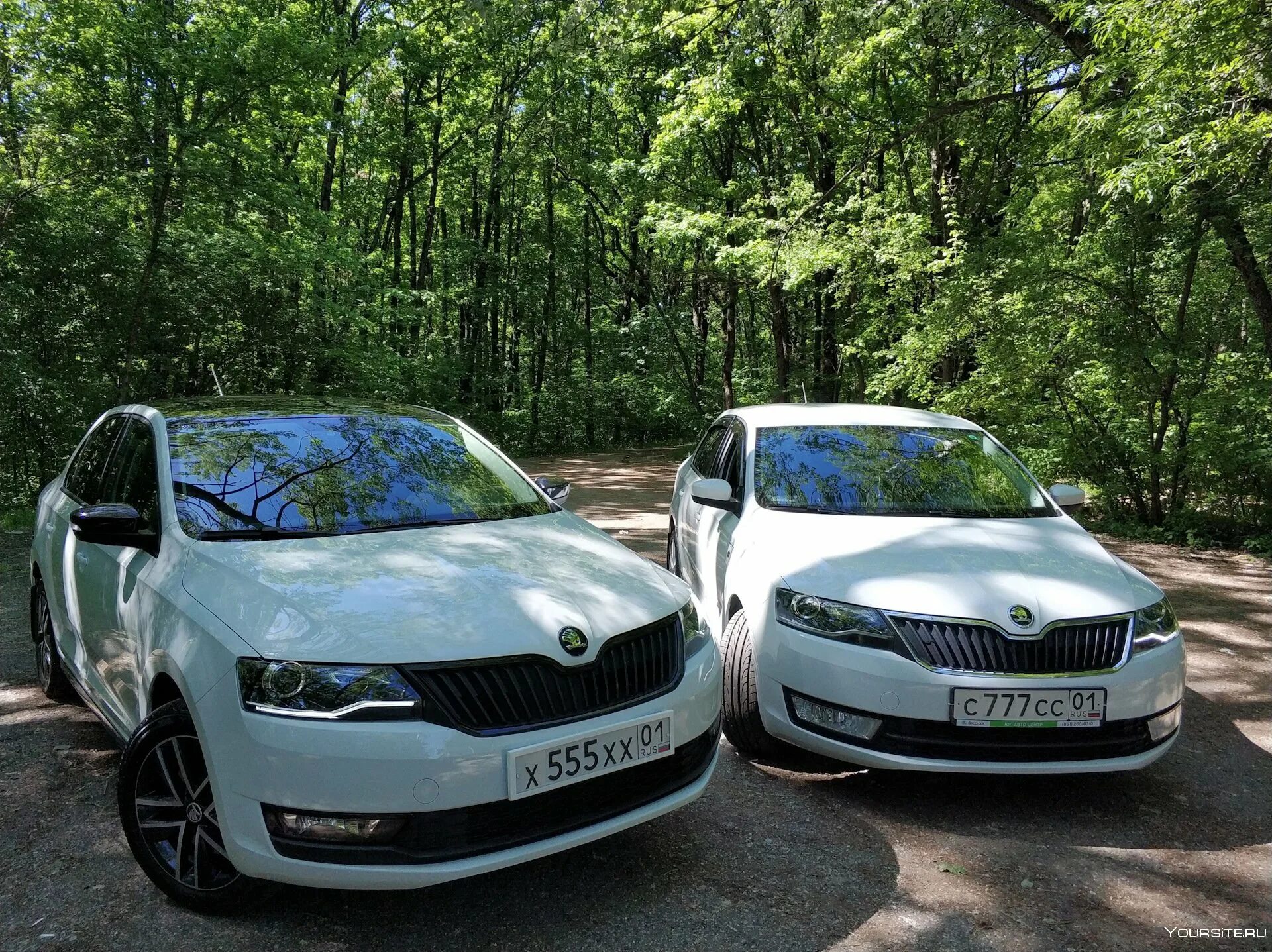 Шкода Рапид 2010. Шкода Рапид 1.8. Škoda Octavia Рапид 2. Шкода гомель